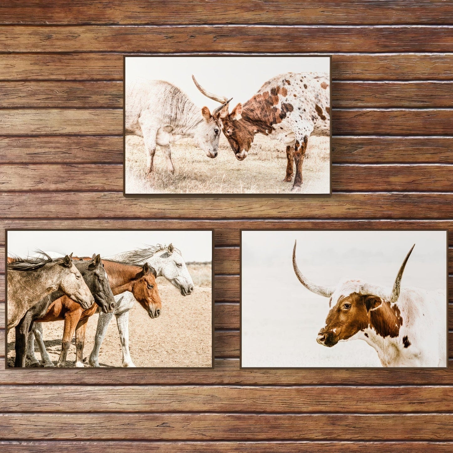 Western Art Set of 3 Prints - Longhorn & Horse Wall Art Teri James Photography