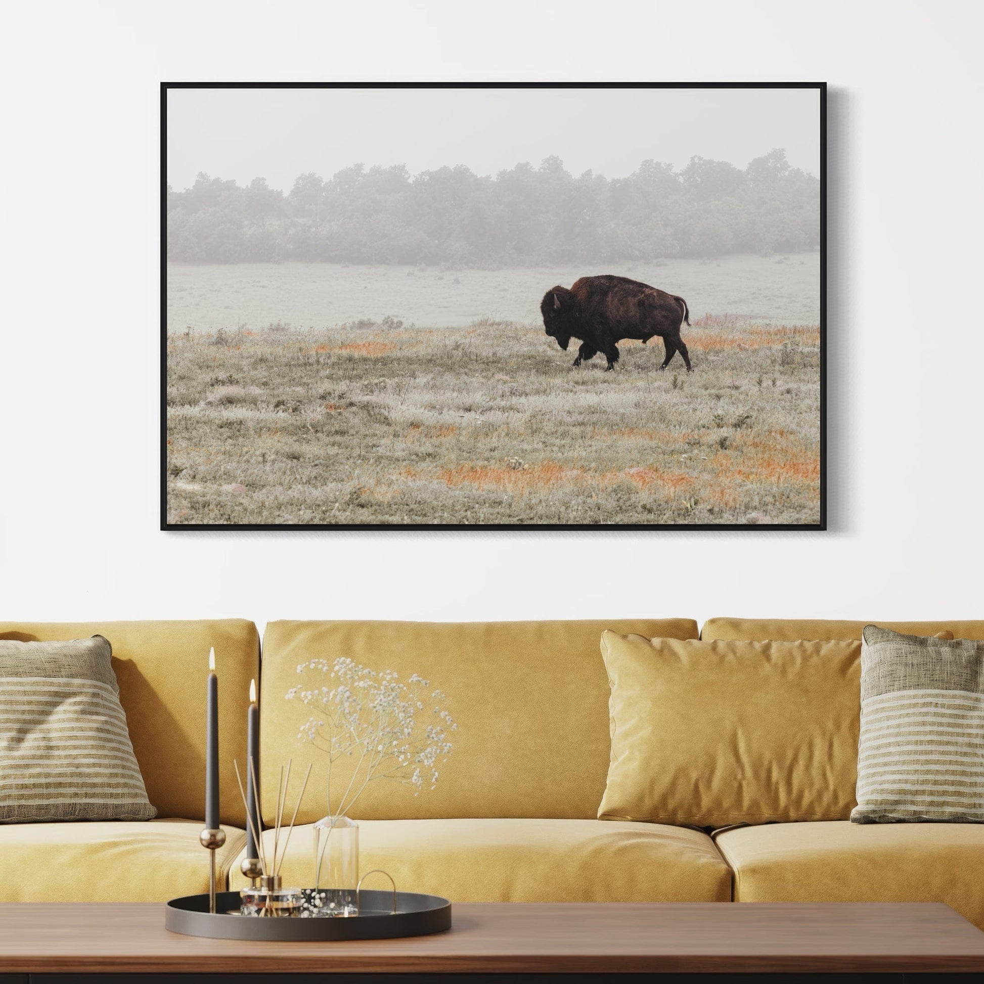 Western Artwork Bison Canvas or Print Wall Art Teri James Photography