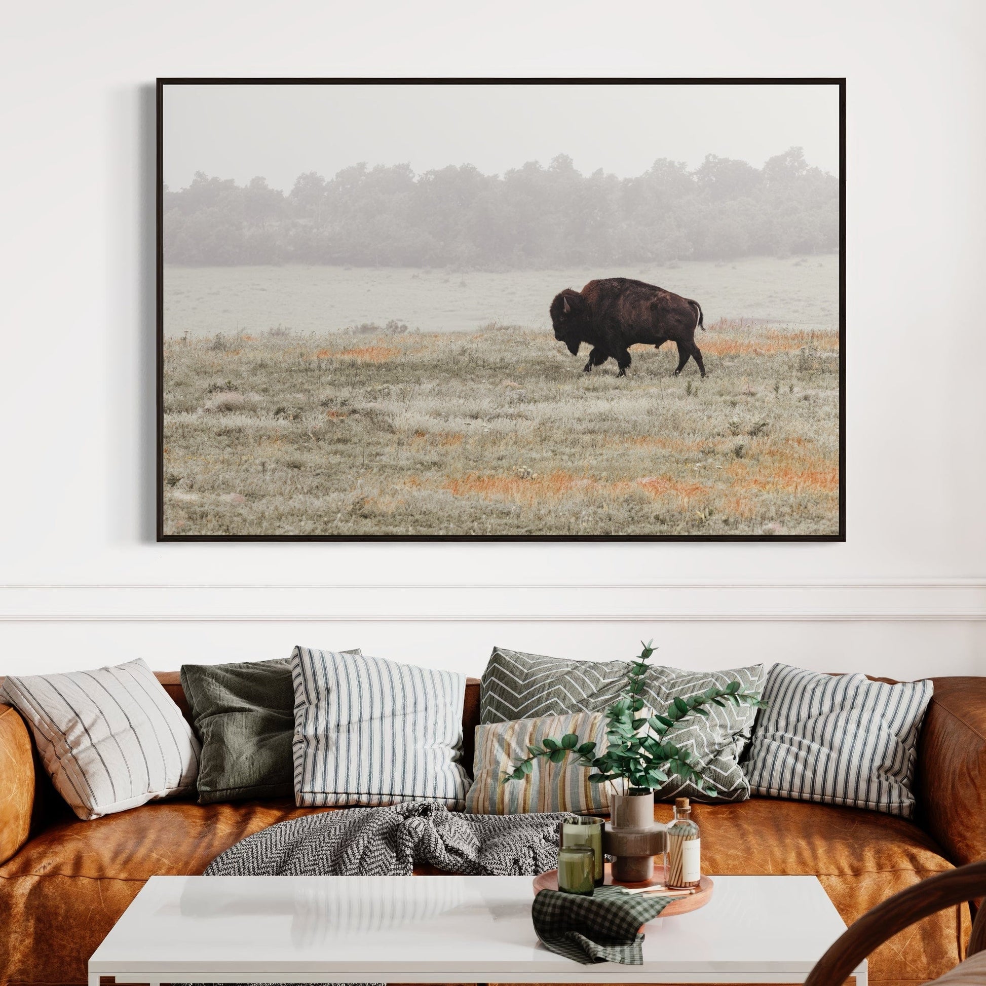 Western Artwork Bison Canvas or Print Wall Art Teri James Photography