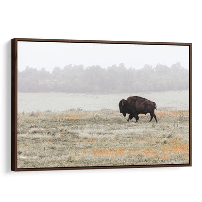 Western Artwork Bison Canvas or Print Canvas-Walnut Frame / 12 x 18 Inches Wall Art Teri James Photography