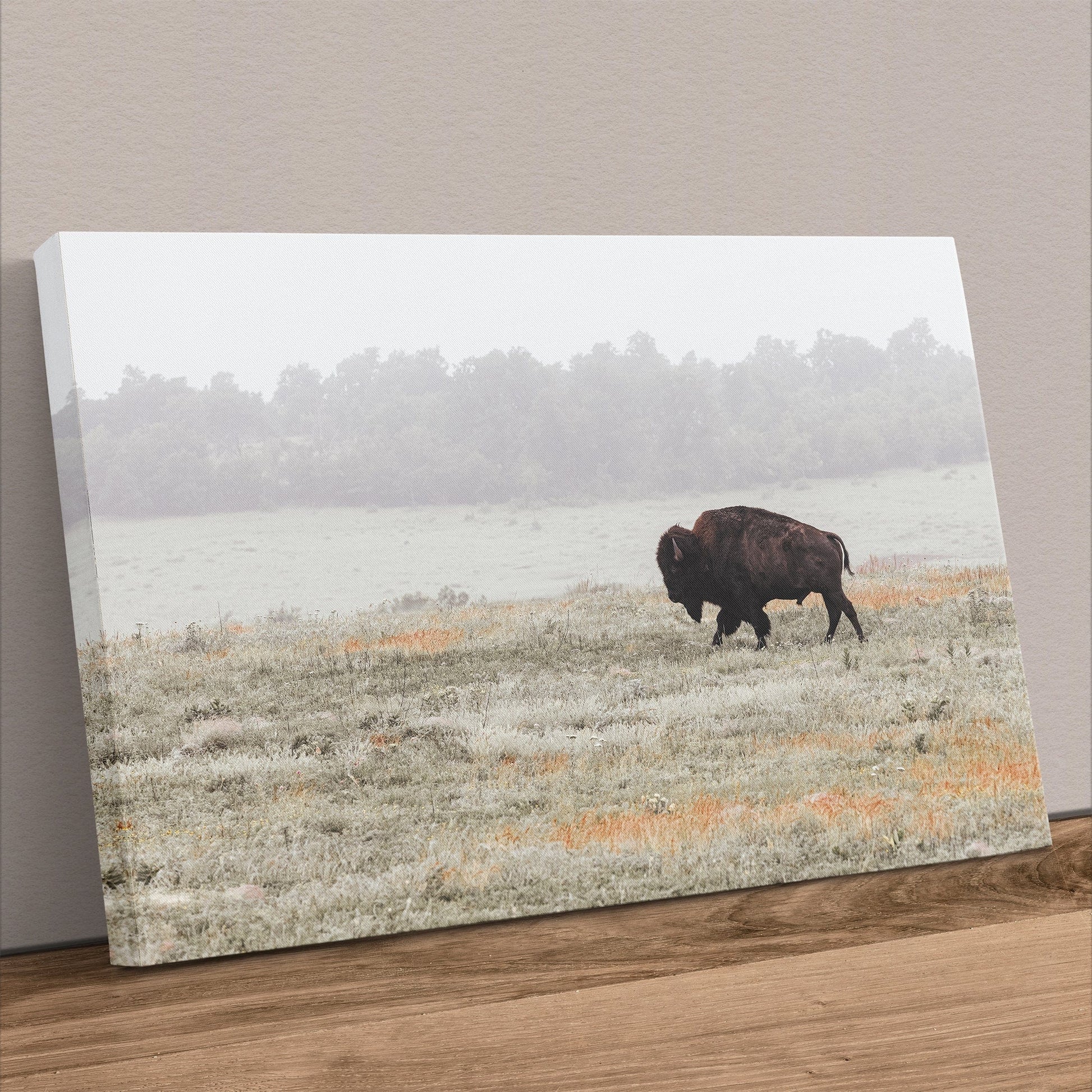 Western Artwork Bison Canvas or Print Canvas-Unframed / 12 x 18 Inches Wall Art Teri James Photography