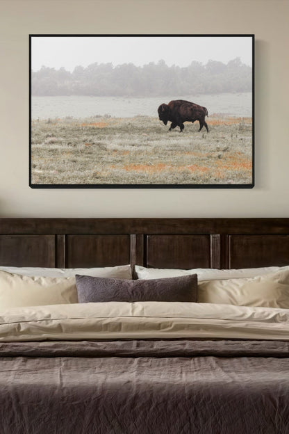 Western Artwork Bison Canvas or Print Wall Art Teri James Photography