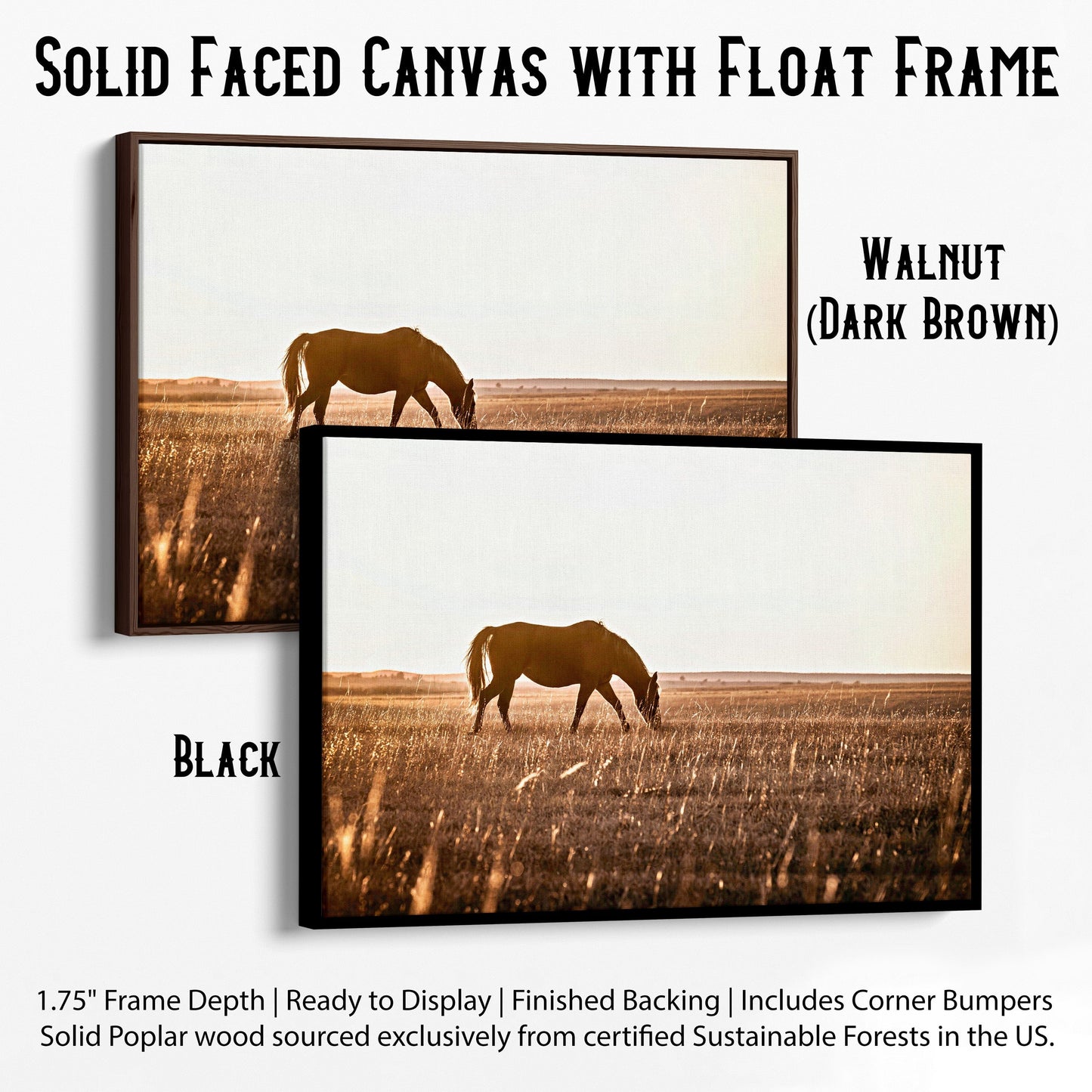 Western Bedroom Decor Horse Art Canvas-Black Frame / 12 x 18 Inches Wall Art Teri James Photography