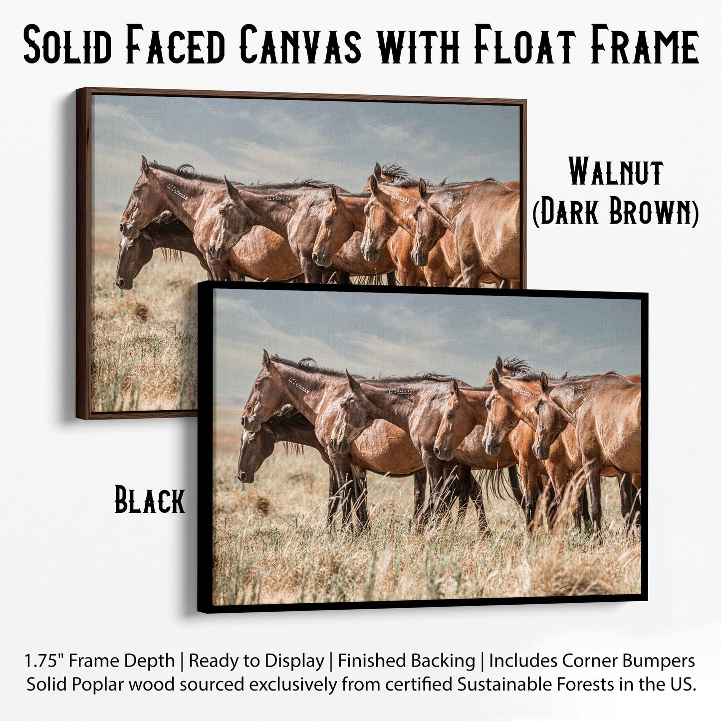 Western Decor Wild Horse Canvas Print Canvas-Black Frame / 12 x 18 Inches Wall Art Teri James Photography