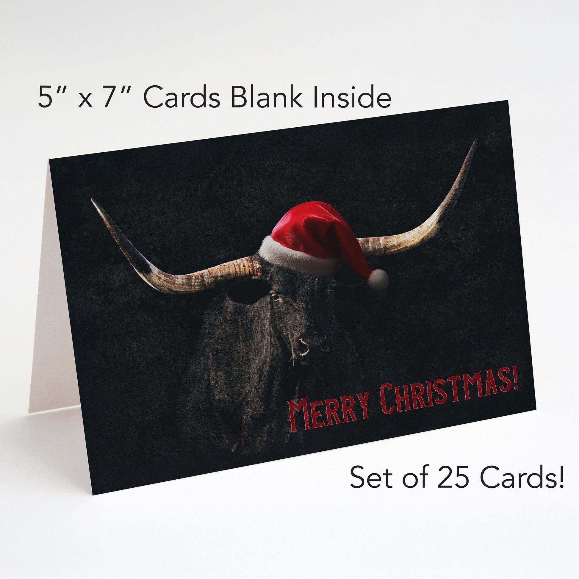 Western Greeting Cards - Rustic Note Cards Longhorn Merry Christmas Greeting cards Teri James Photography