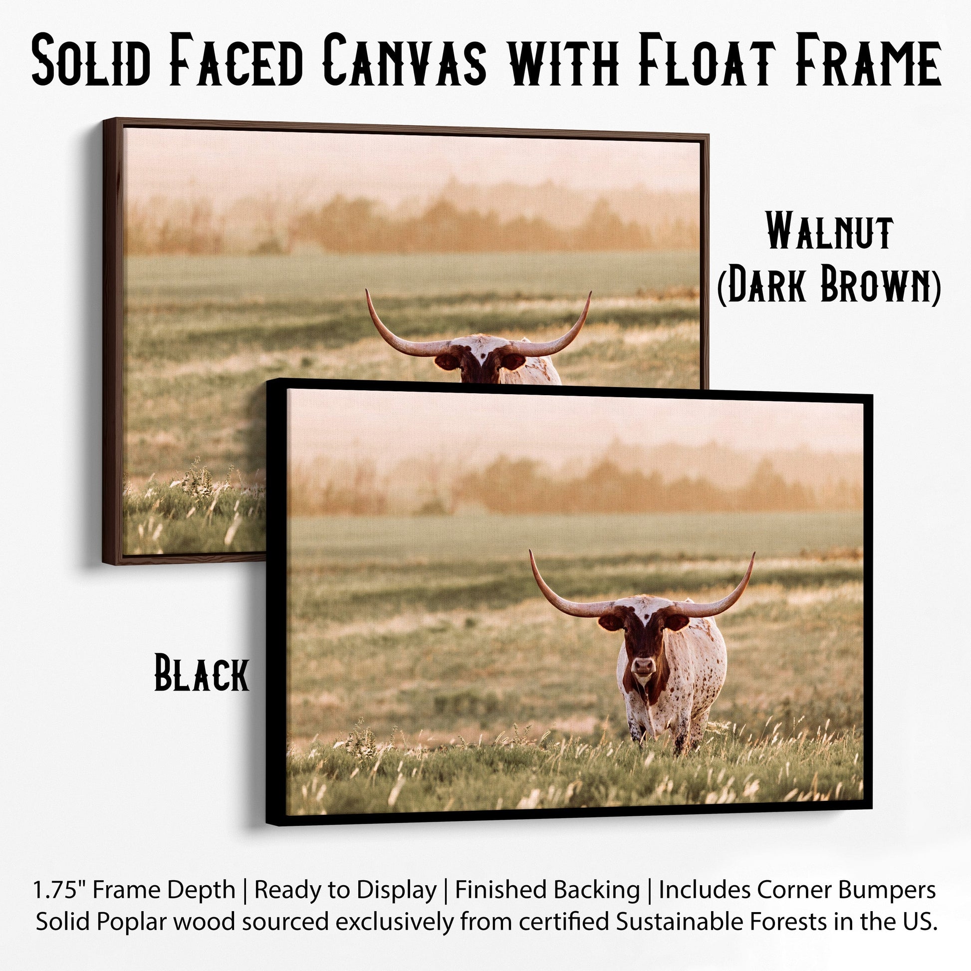 Western Home Decor Longhorn Wall Art Canvas-Black Frame / 12 x 18 Inches Wall Art Teri James Photography