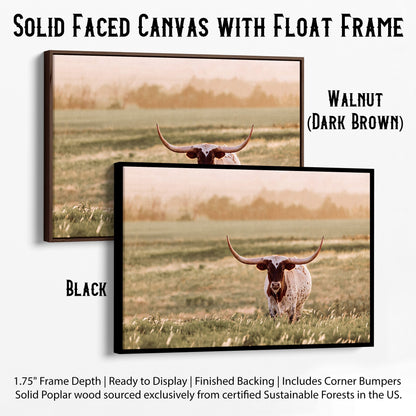 Western Home Decor Longhorn Wall Art Canvas-Black Frame / 12 x 18 Inches Wall Art Teri James Photography