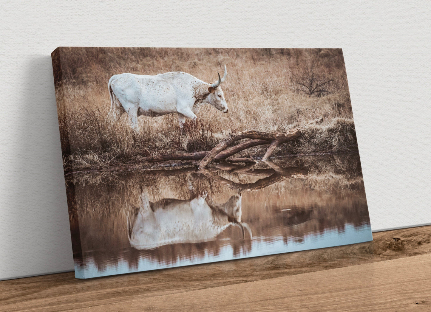 Western Living Room Decor - Longhorn Wall art Canvas-Unframed / 12 x 18 Inches Wall Art Teri James Photography