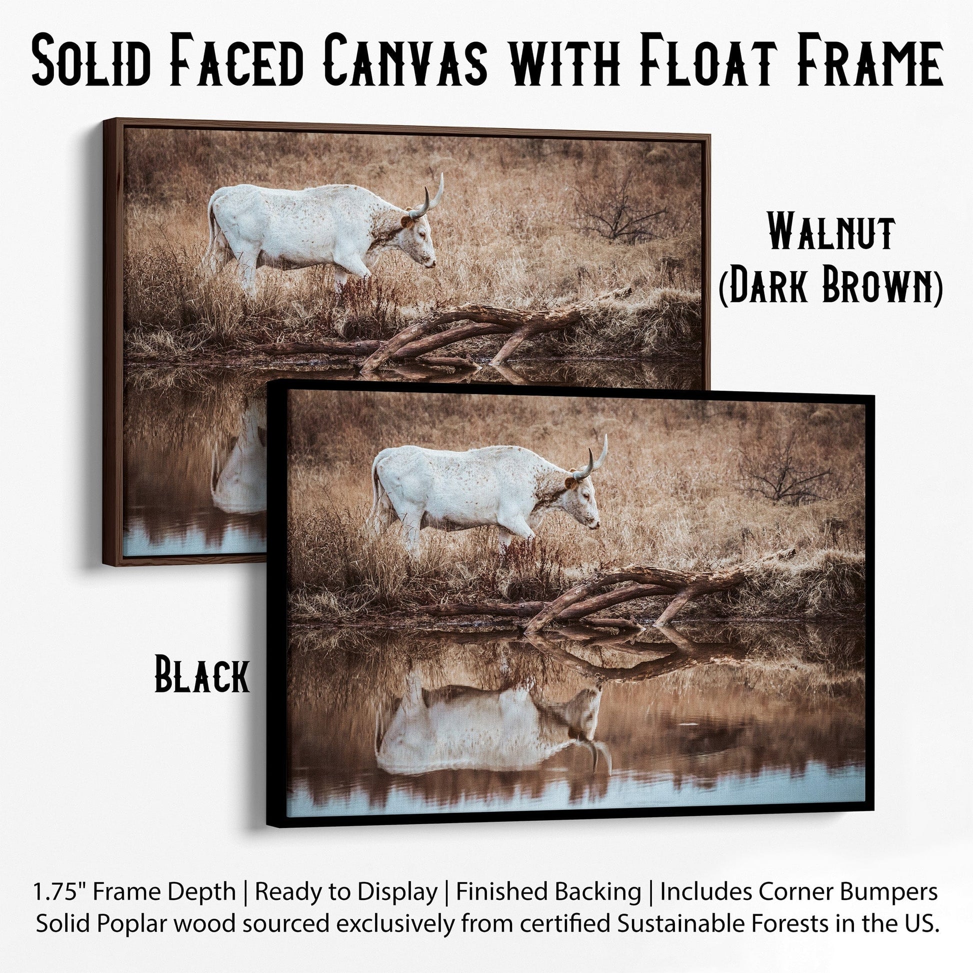 Western Living Room Decor - Longhorn Wall art Canvas-Black Frame / 12 x 18 Inches Wall Art Teri James Photography