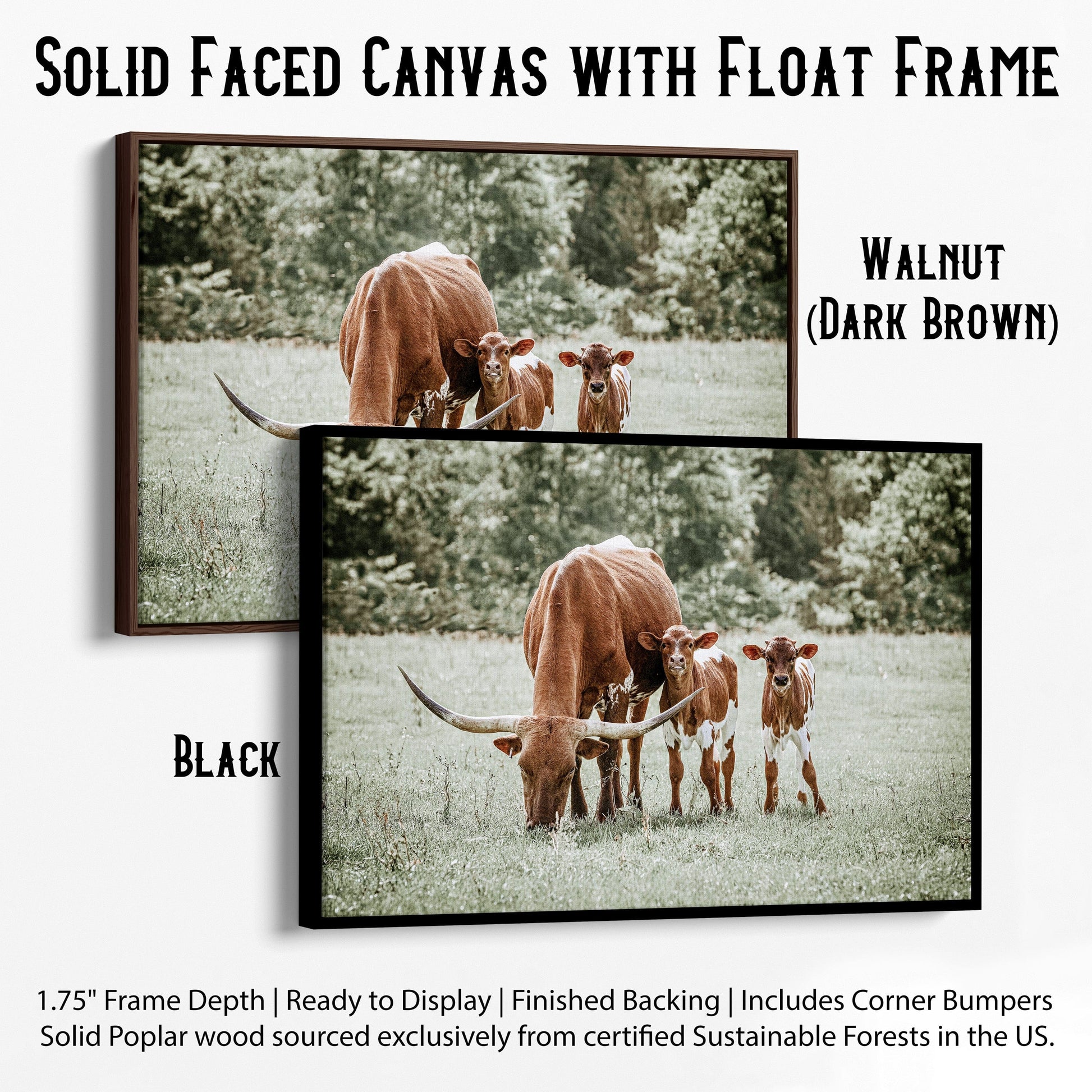 Western Nursery Wall Art for Twins Canvas-Black Frame / 12 x 18 Inches Wall Art Teri James Photography