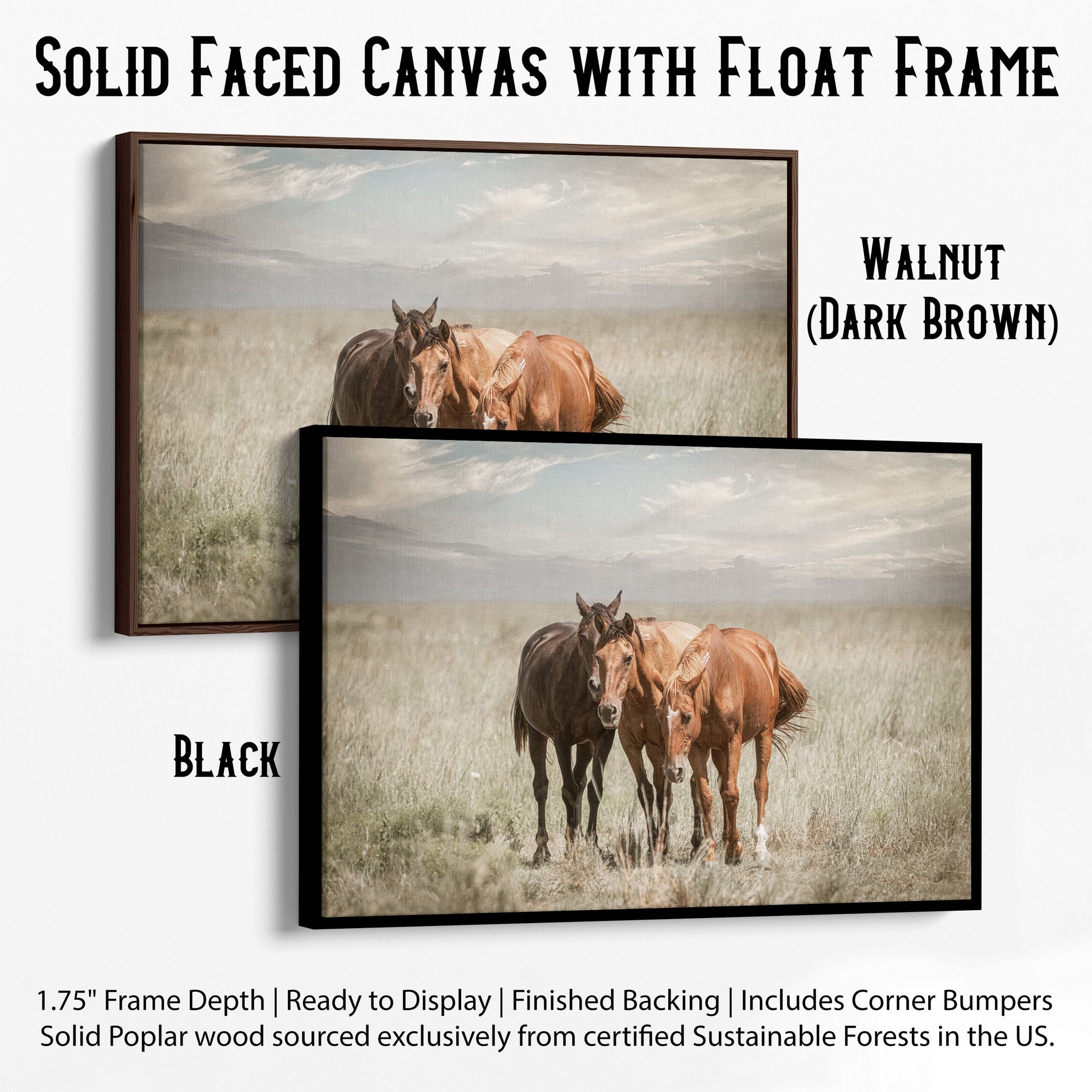 Western Wall Art Wild Horses on the Osage Canvas-Black Frame / 12 x 18 Inches Wall Art Teri James Photography