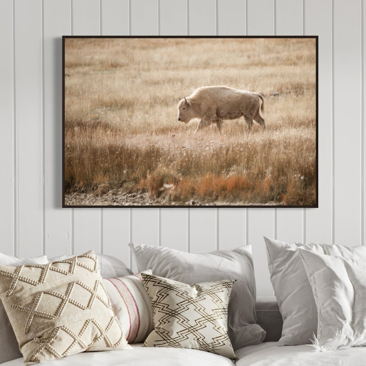 White Bison Canvas Print for Western Home Decor Wall Art Teri James Photography