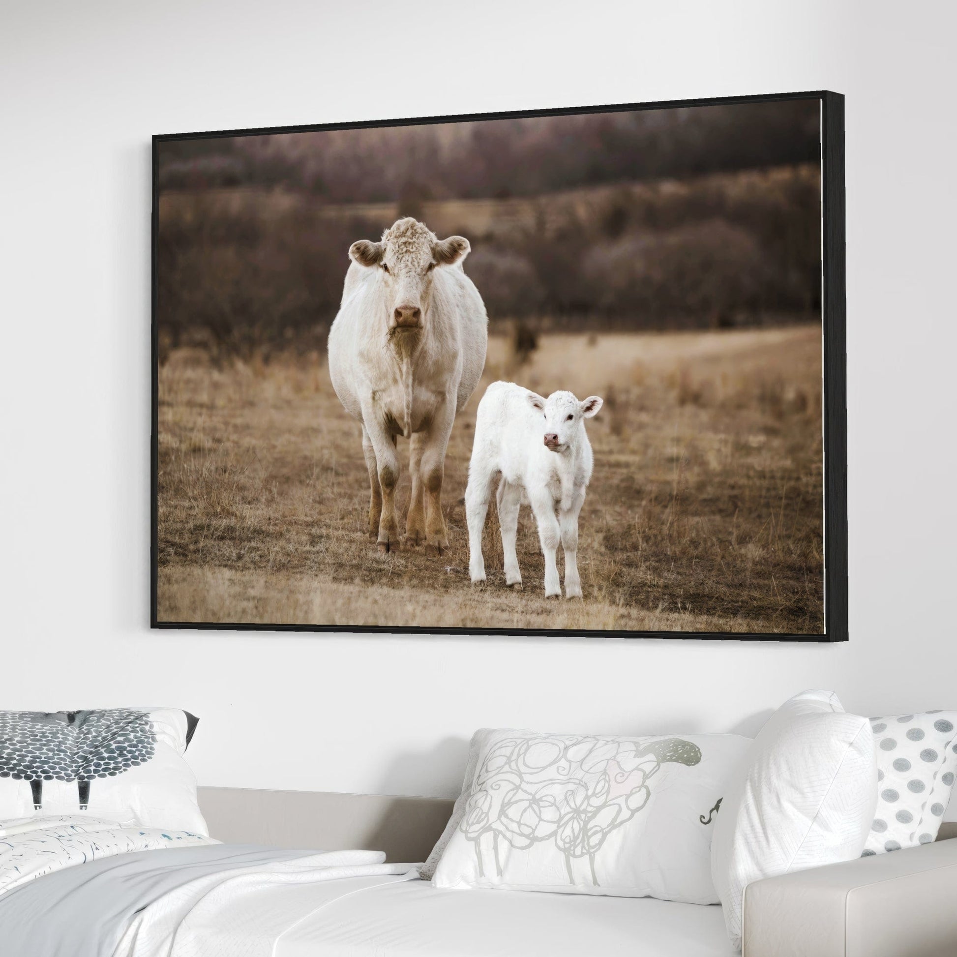 White Charolais Cow and Calf Western Nursery Wall Art Wall Art Teri James Photography