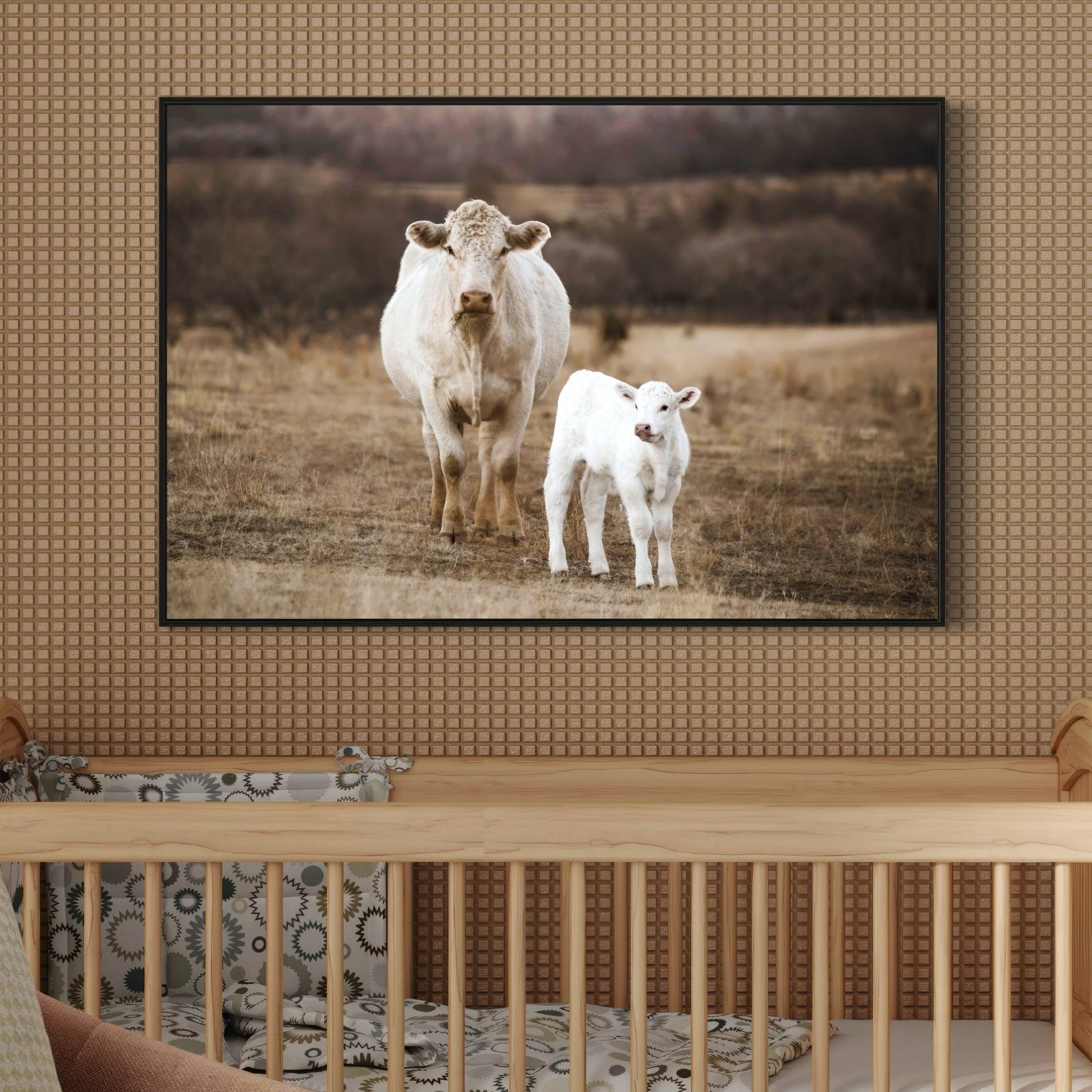 White Charolais Cow and Calf Western Nursery Wall Art Wall Art Teri James Photography