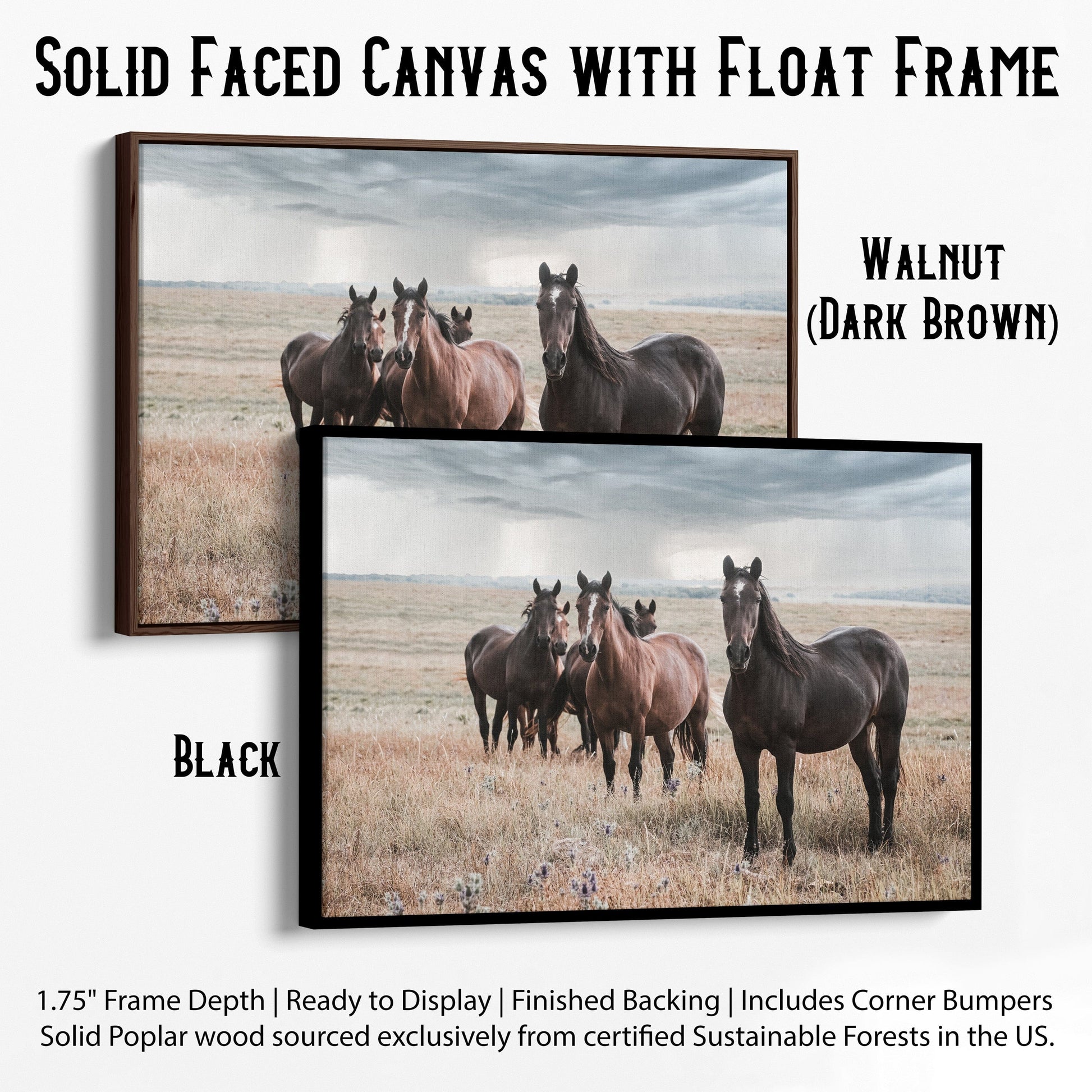 Wild Horses and Stormy Sky Wall Decor Canvas-Black Frame / 12 x 18 Inches Wall Art Teri James Photography