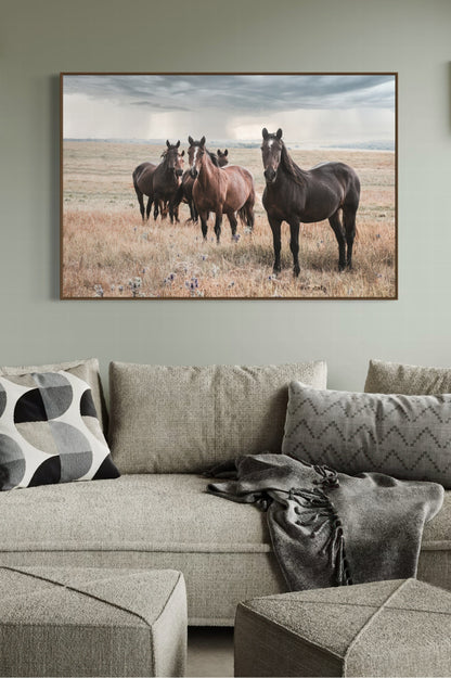 Wild Horses and Stormy Sky Wall Decor Wall Art Teri James Photography