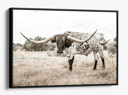 Western Decor Wall Art - Texas Longhorn Canvas-Black Frame / 12 x 18 Inches Wall Art Teri James Photography