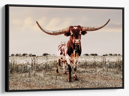Texas Longhorn Bull Canvas Print - Texas Style Wall Decor Canvas-Black Frame / 12 x 18 Inches Wall Art Teri James Photography
