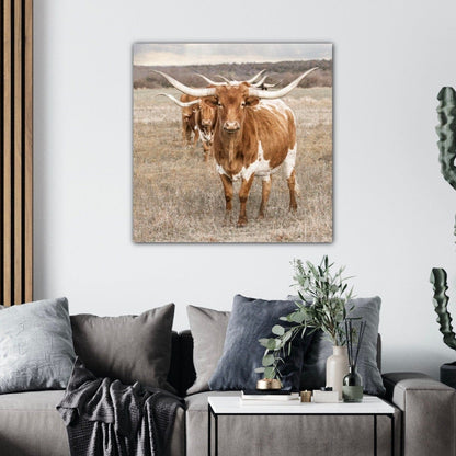 Texas Longhorn Square Wall Art Wall Art Teri James Photography