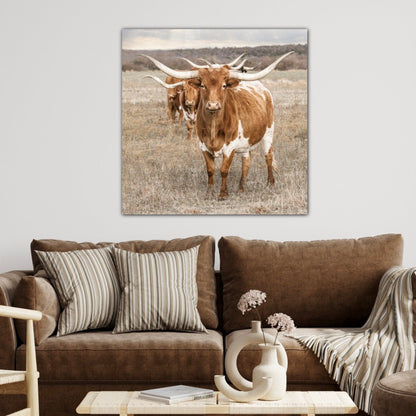 Texas Longhorn Square Wall Art Wall Art Teri James Photography